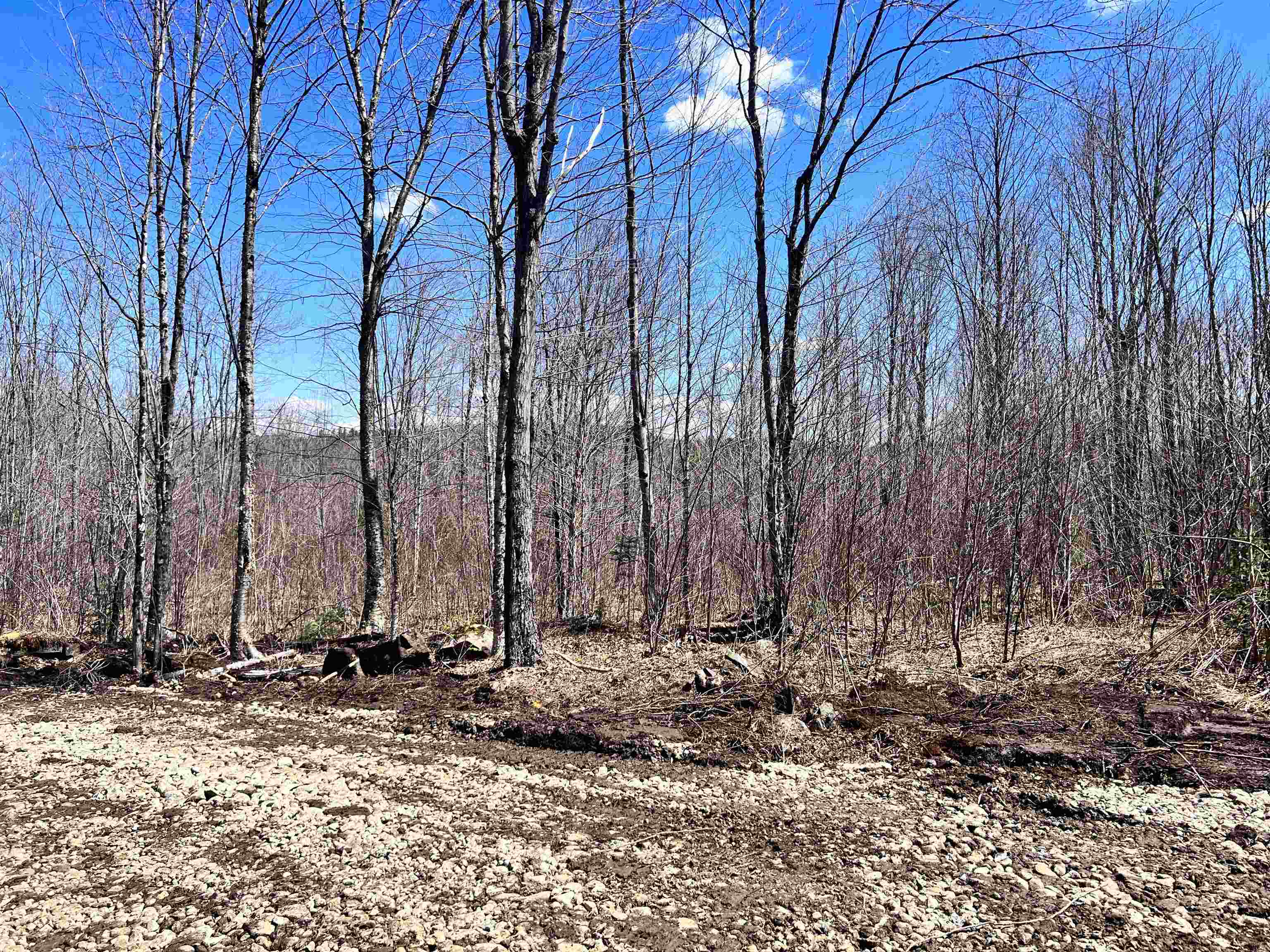 Lot 8 Steiss Road Milan, NH 03588 - Photo 4 of 8