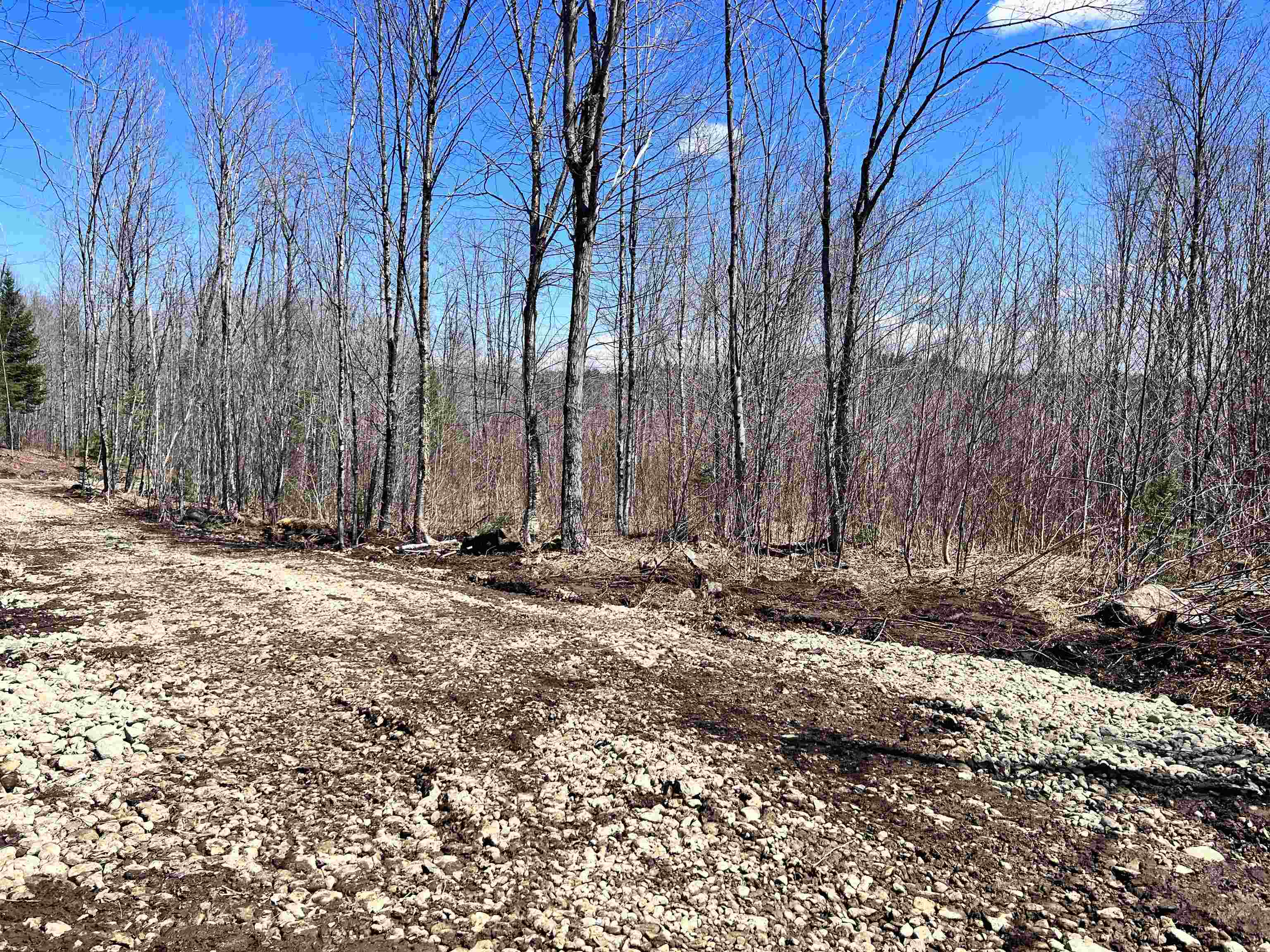 Lot 8 Steiss Road Milan, NH 03588 - Photo 5 of 8