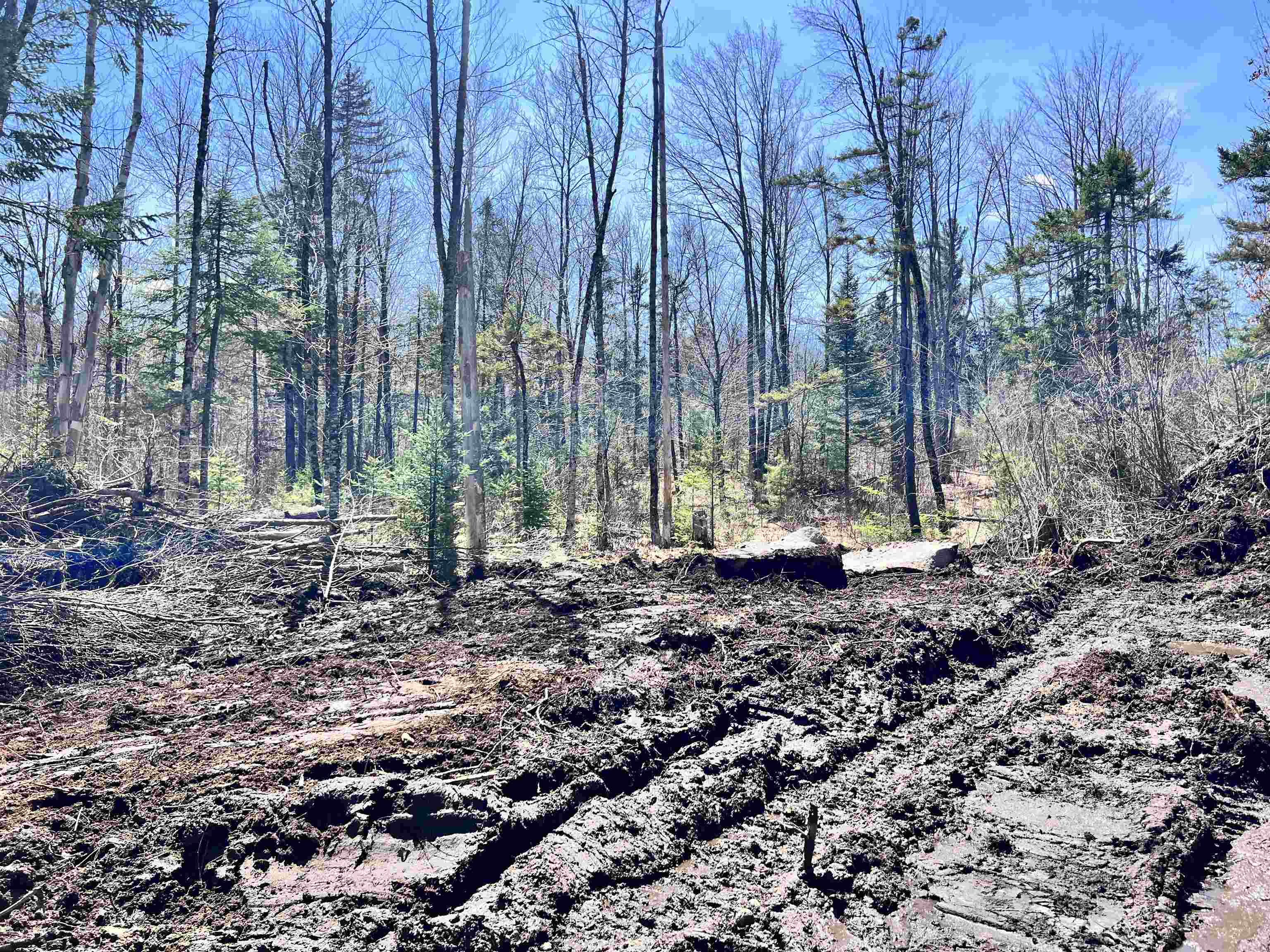 Lot 8 Steiss Road Milan, NH 03588 - Photo 6 of 8