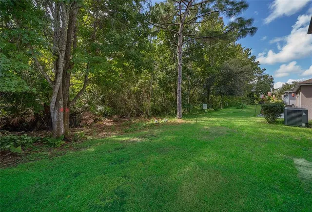 a view of a backyard with large trees