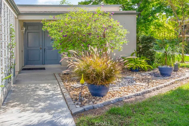 a view of a garden with a chair
