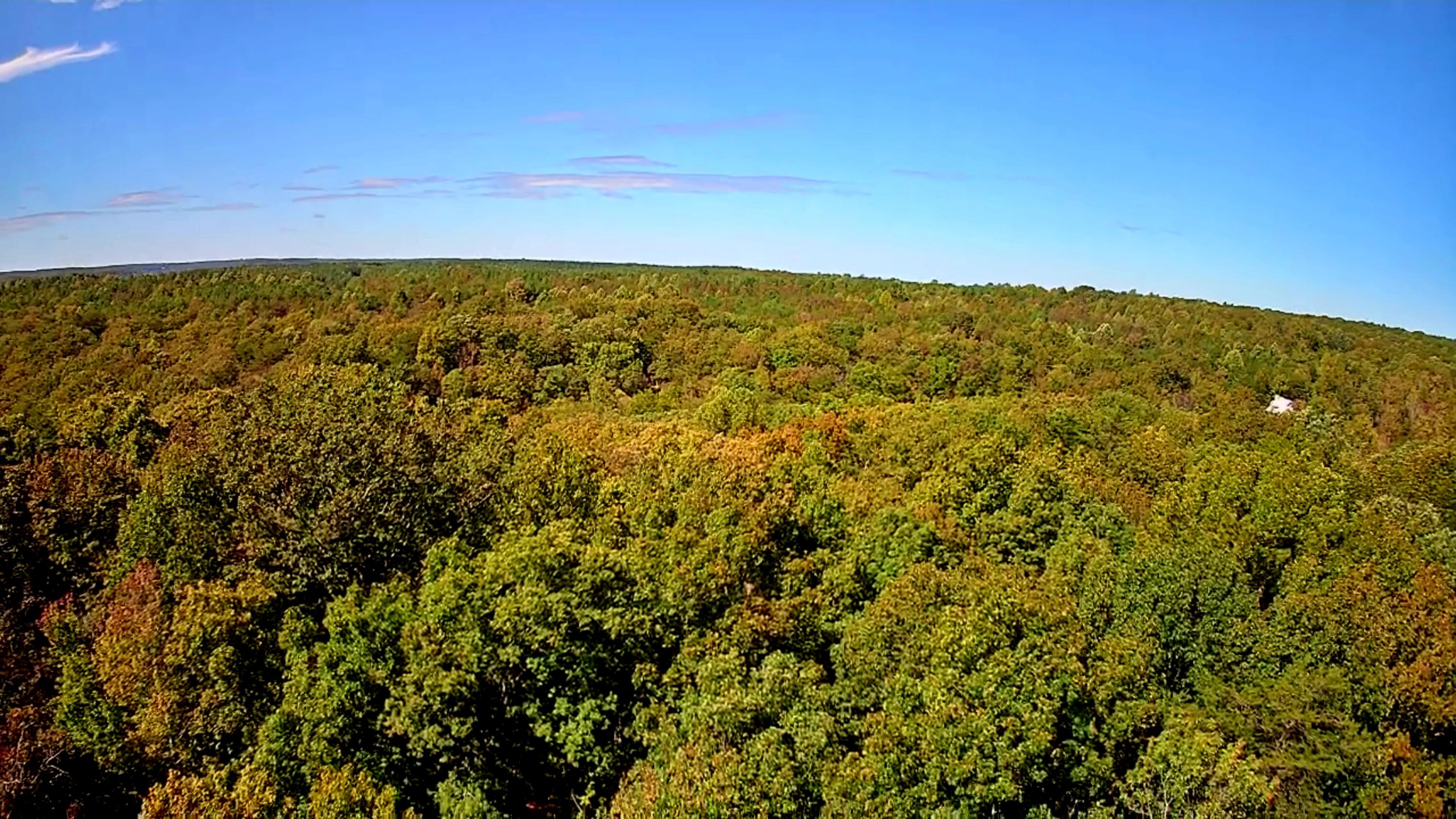 IMG_20251005_1130041