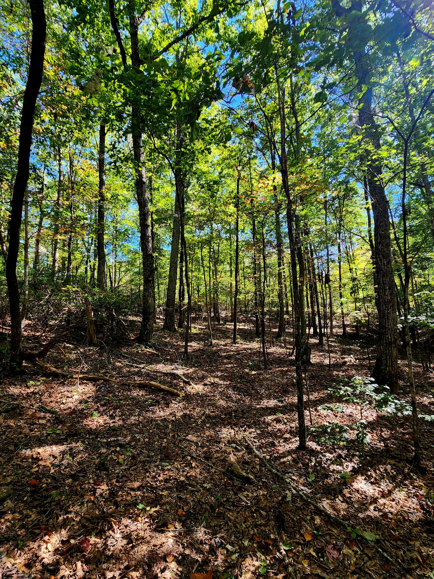 0 Ridge Wood Lane, Unit 431 Spencer, TN 38585 - Photo 11 of 22 20251005_111936