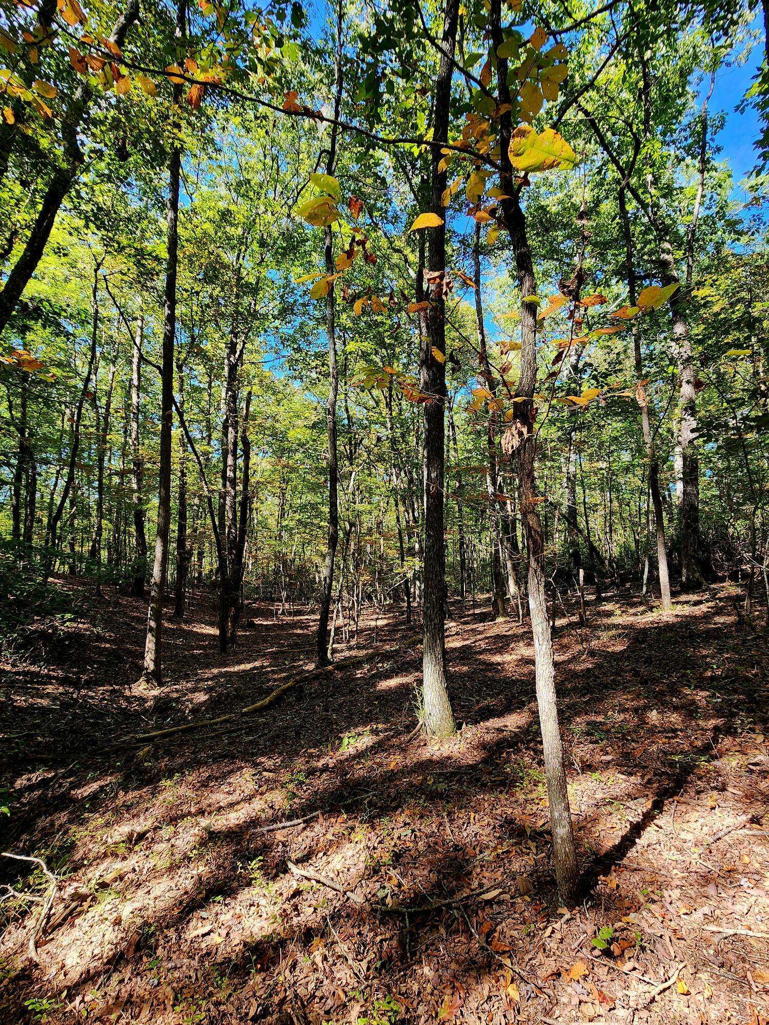 0 Ridge Wood Lane, Unit 431 Spencer, TN 38585 - Photo 12 of 22 20251005_111852