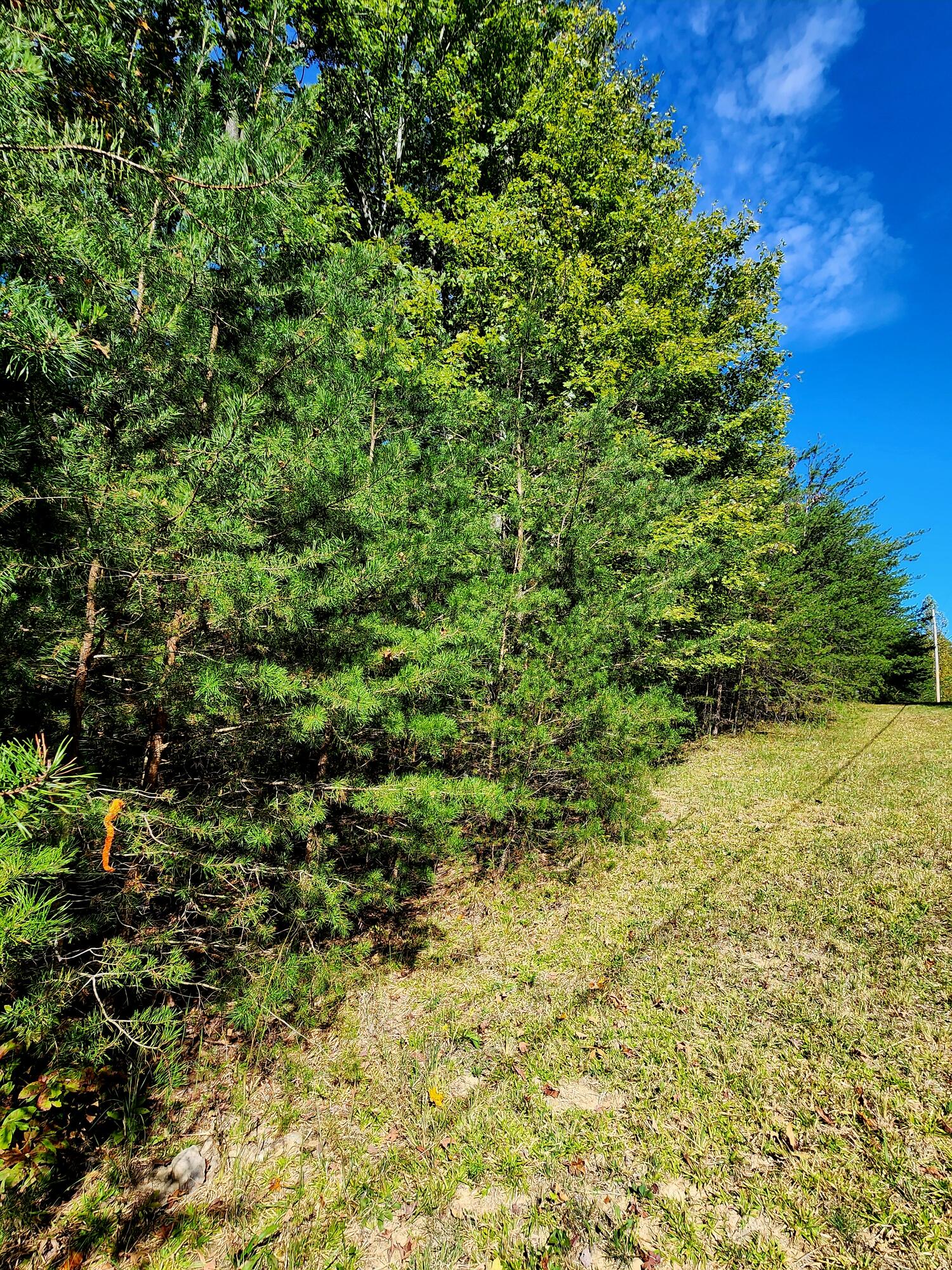 0 Ridge Wood Lane, Unit 431 Spencer, TN 38585 - Photo 13 of 22 20251005_111557