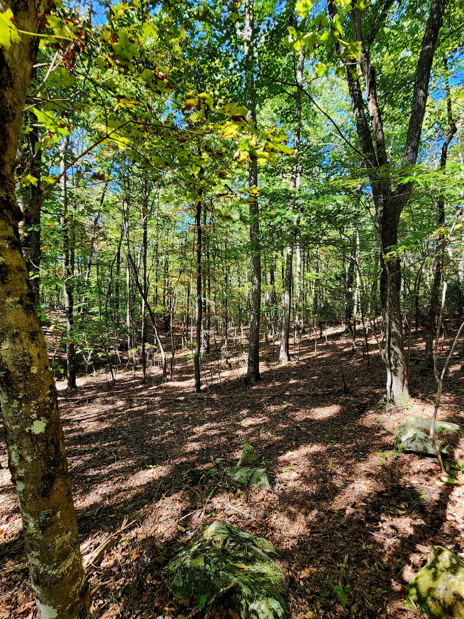 0 Ridge Wood Lane, Unit 431 Spencer, TN 38585 - Photo 14 of 22 20251005_111750