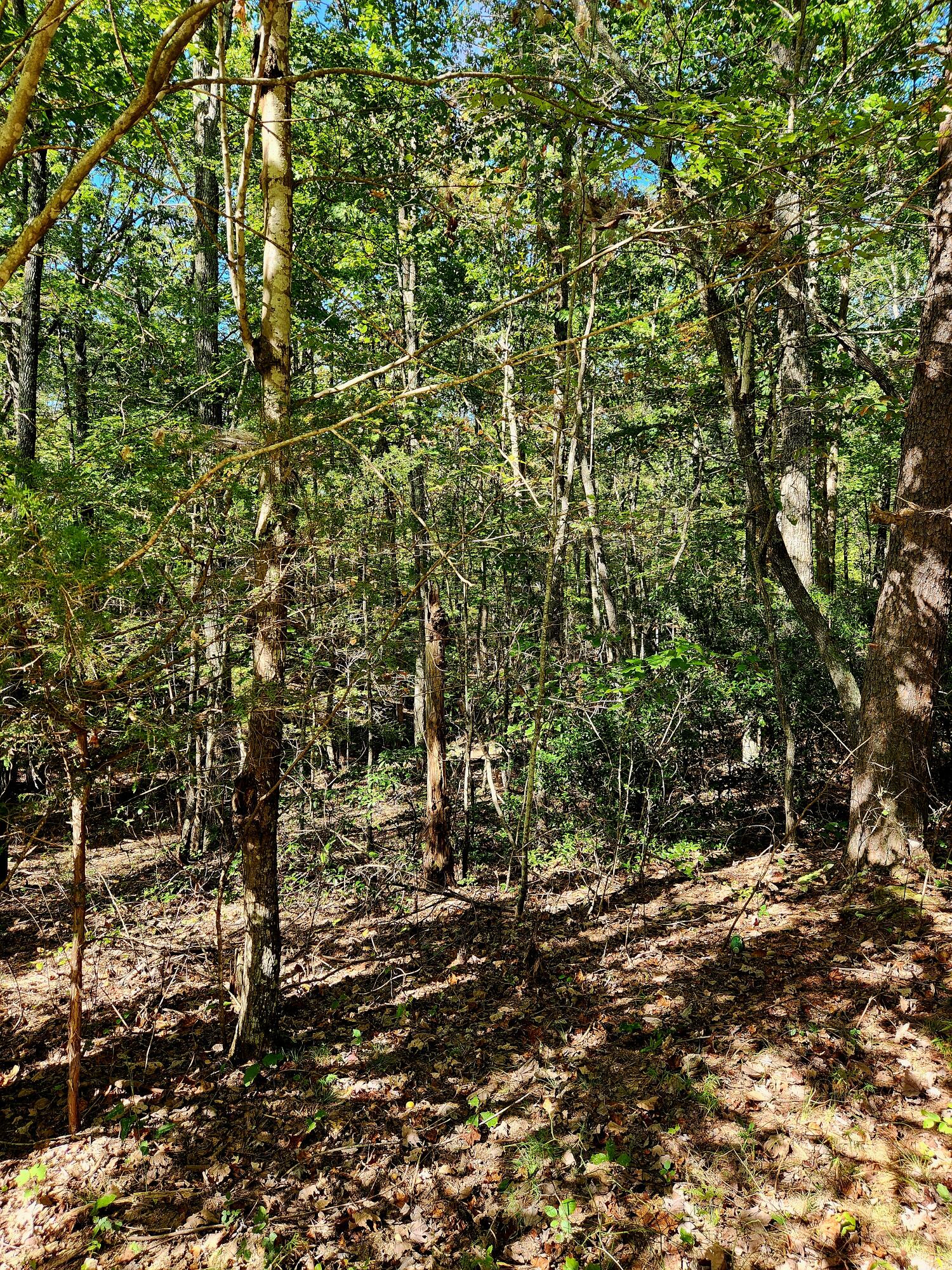 0 Ridge Wood Lane, Unit 431 Spencer, TN 38585 - Photo 19 of 22 20251005_111411