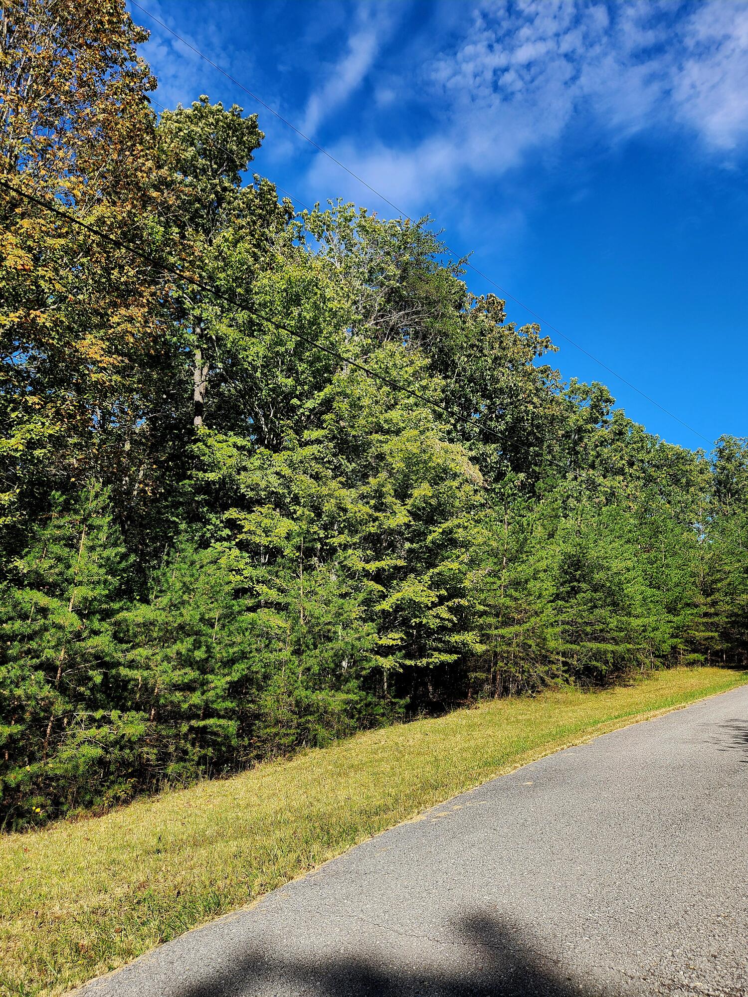 0 Ridge Wood Lane, Unit 431 Spencer, TN 38585 - Photo 20 of 22 20251005_111148