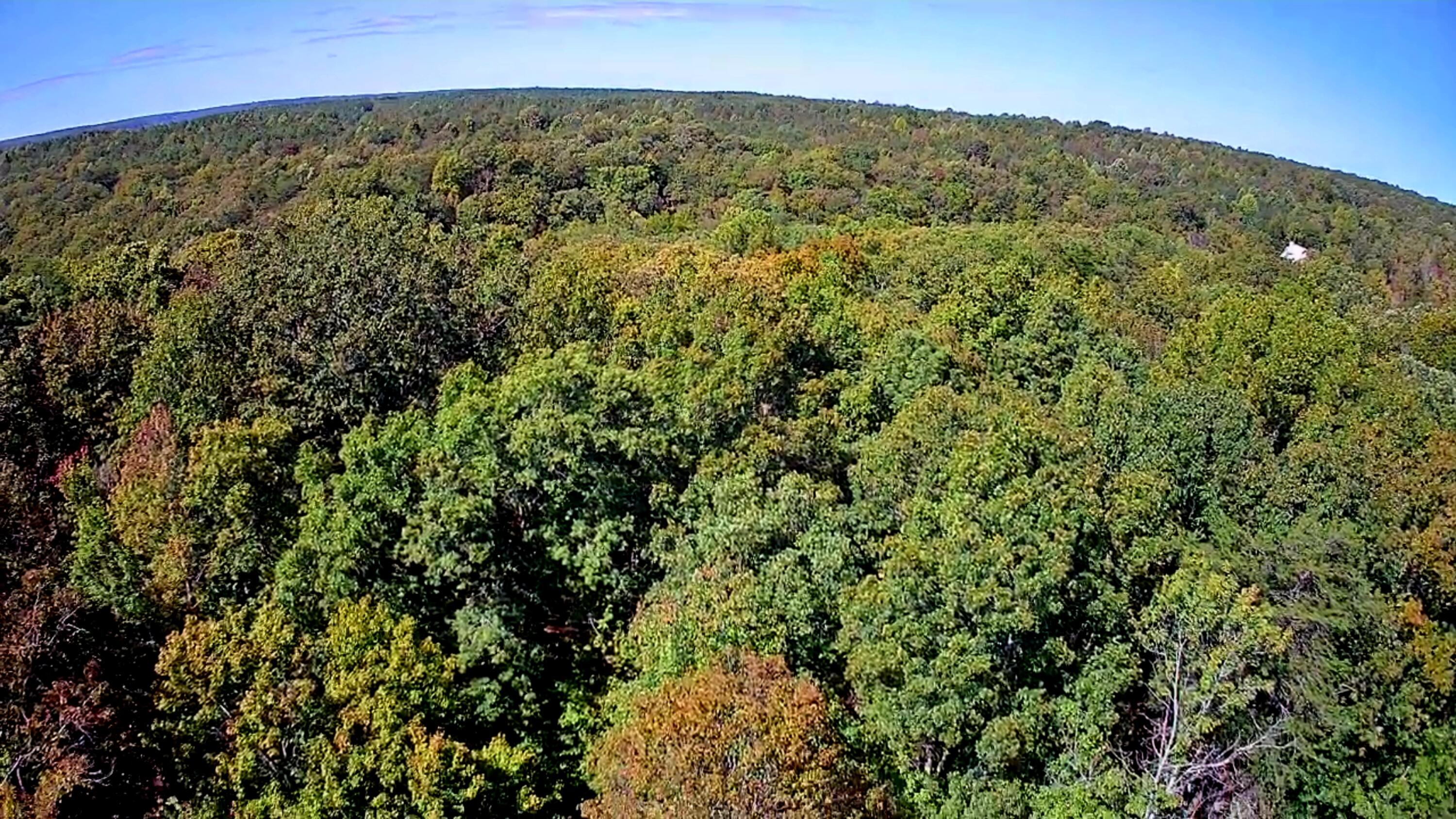 0 Ridge Wood Lane, Unit 431 Spencer, TN 38585 - Photo 2 of 22 IMG_20251005_1130045