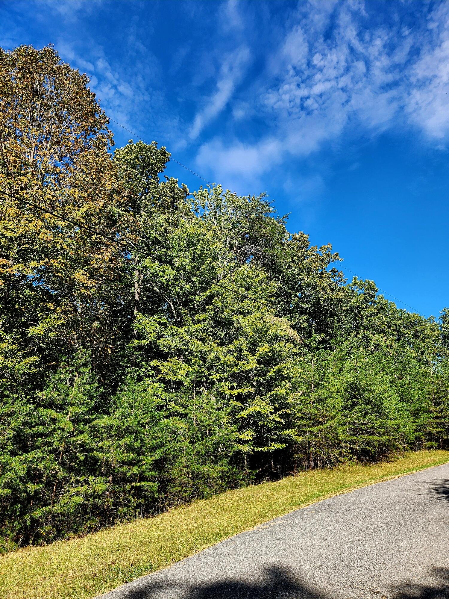 0 Ridge Wood Lane, Unit 431 Spencer, TN 38585 - Photo 21 of 22 20251005_111136