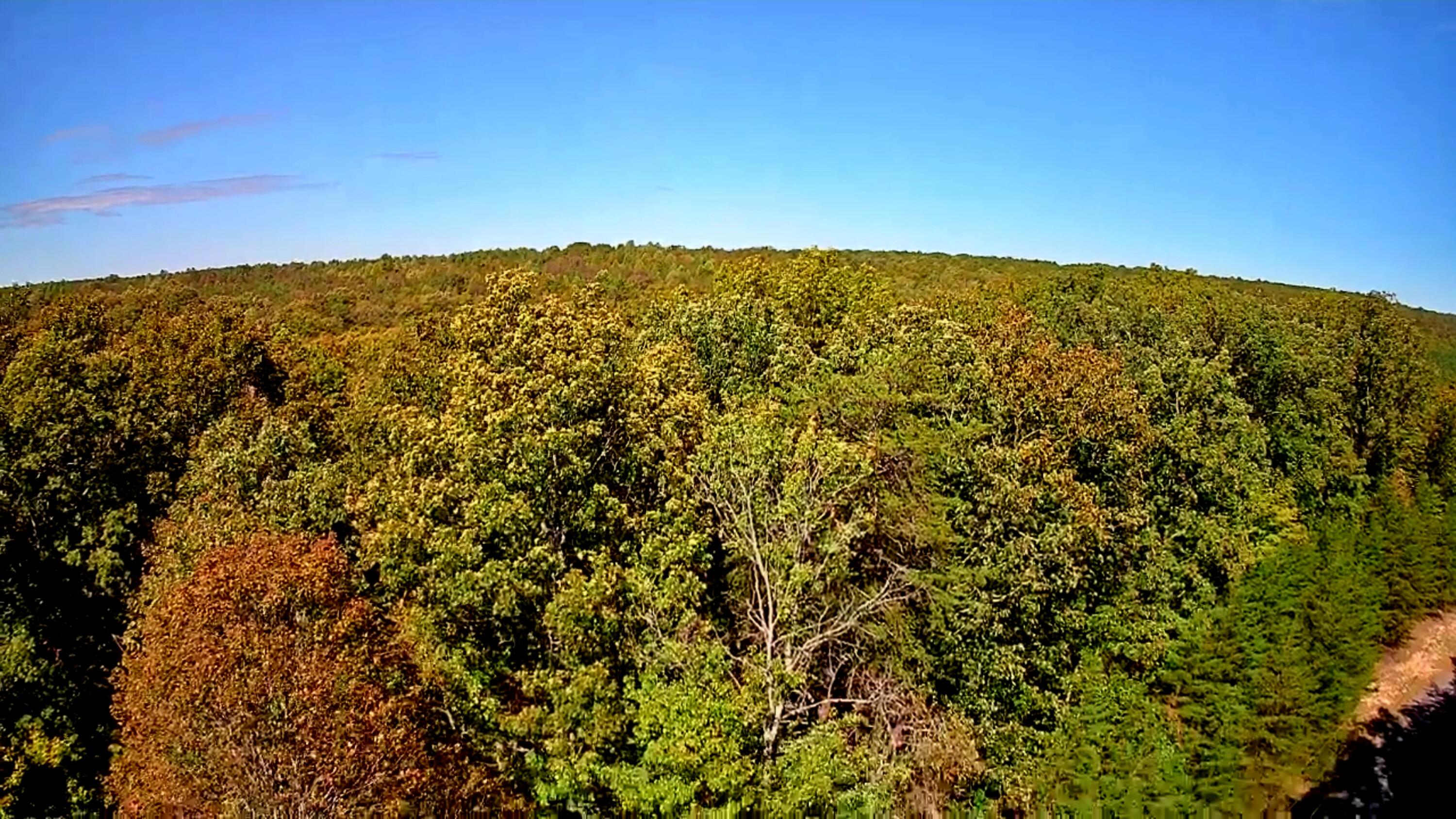 0 Ridge Wood Lane, Unit 431 Spencer, TN 38585 - Photo 6 of 22 IMG_20251005_1128042