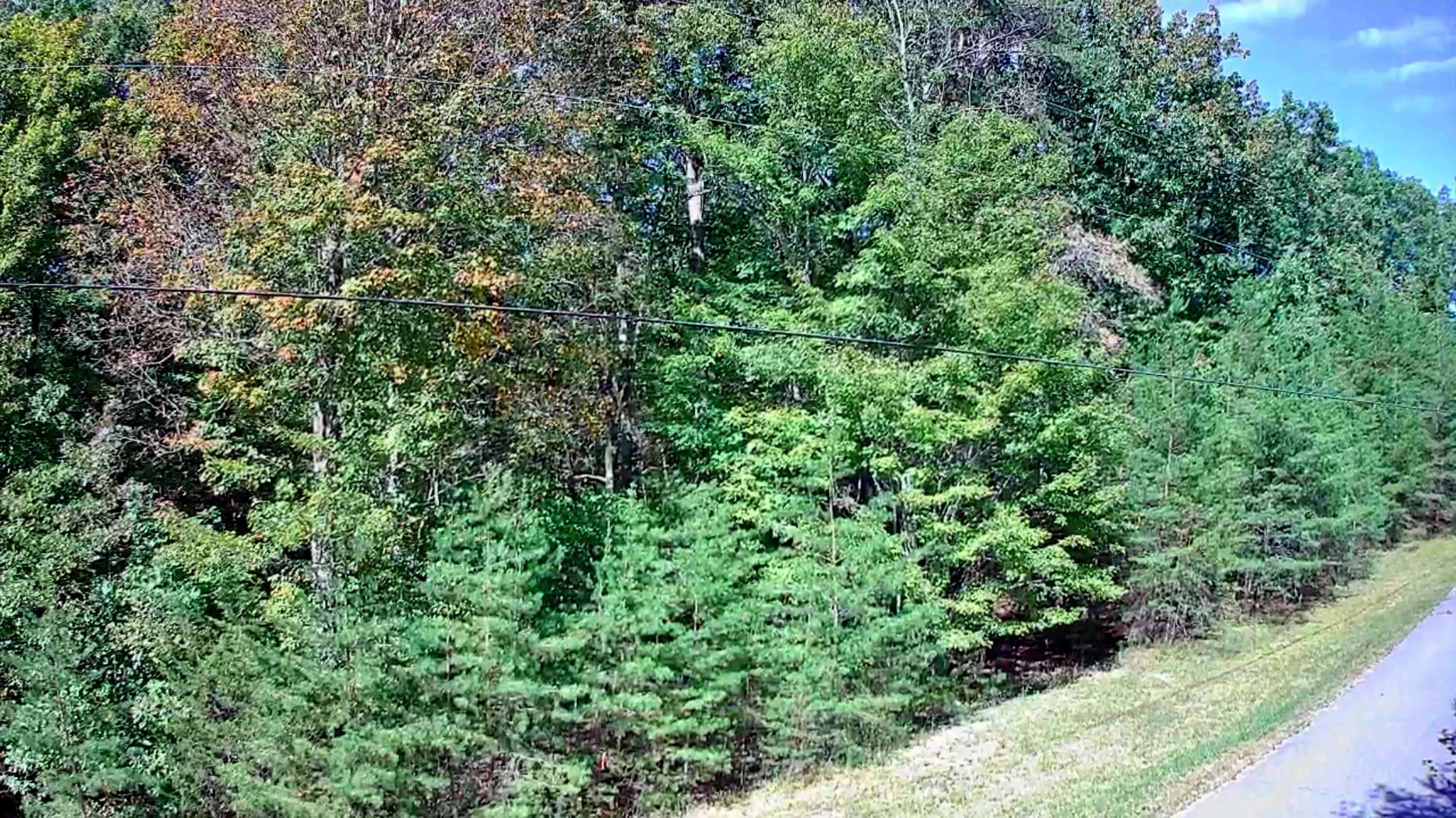 0 Ridge Wood Lane, Unit 431 Spencer, TN 38585 - Photo 7 of 22 IMG_20251005_1127032