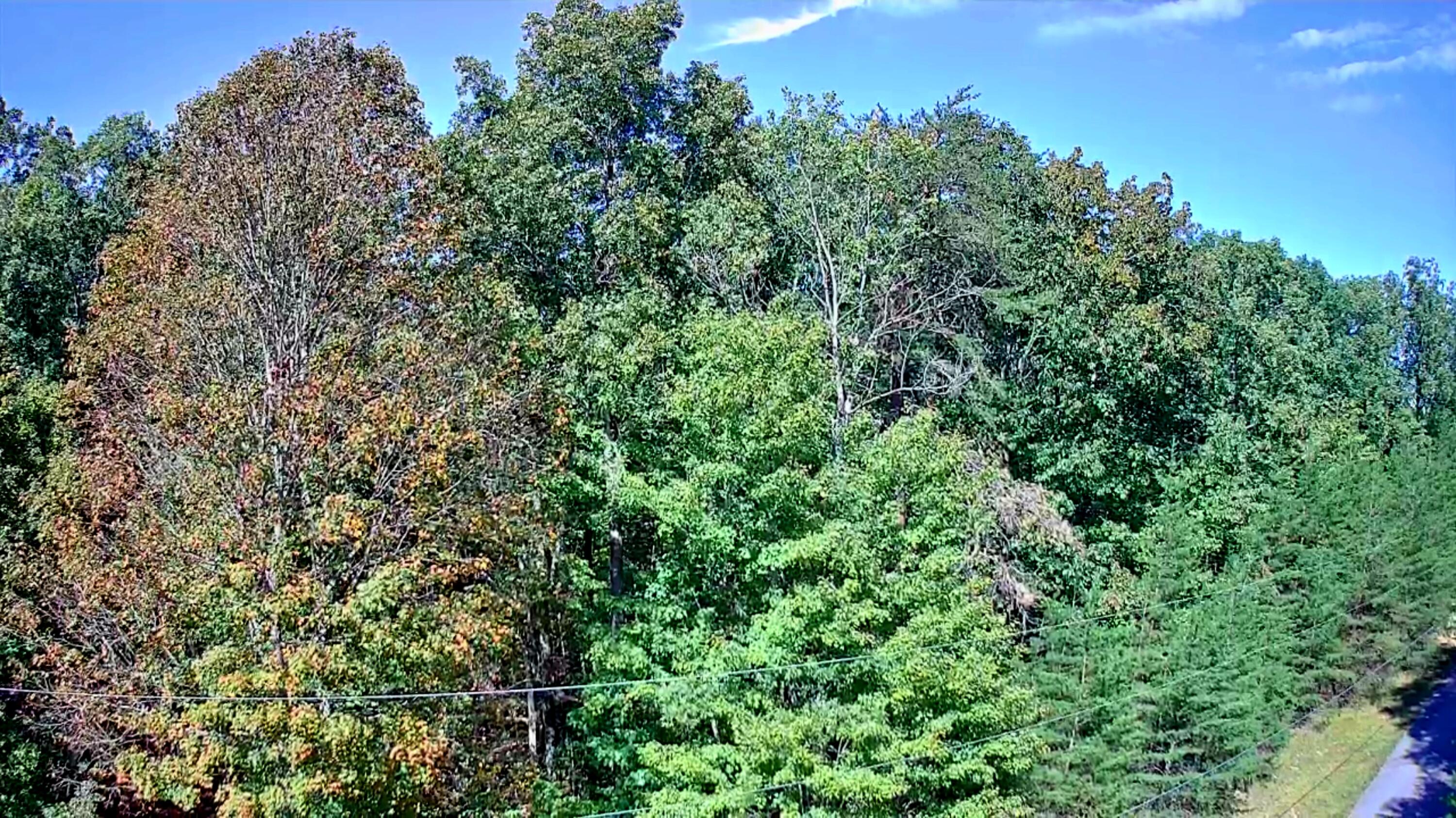 0 Ridge Wood Lane, Unit 431 Spencer, TN 38585 - Photo 8 of 22 IMG_20251005_1127046