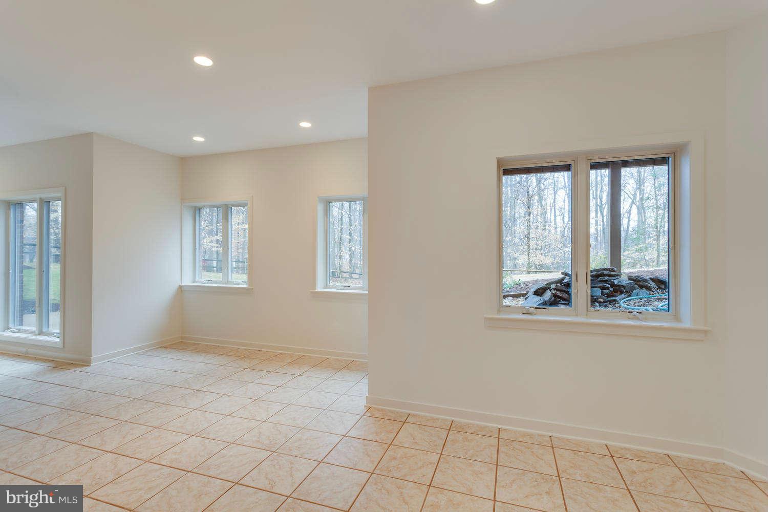 260 Springvale Road Great Falls, VA 22066 - Photo 26 of 30 Rec Room