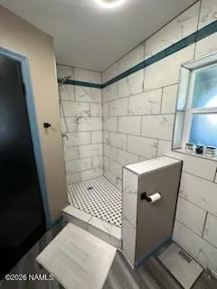 a bathroom with a sink and a shower