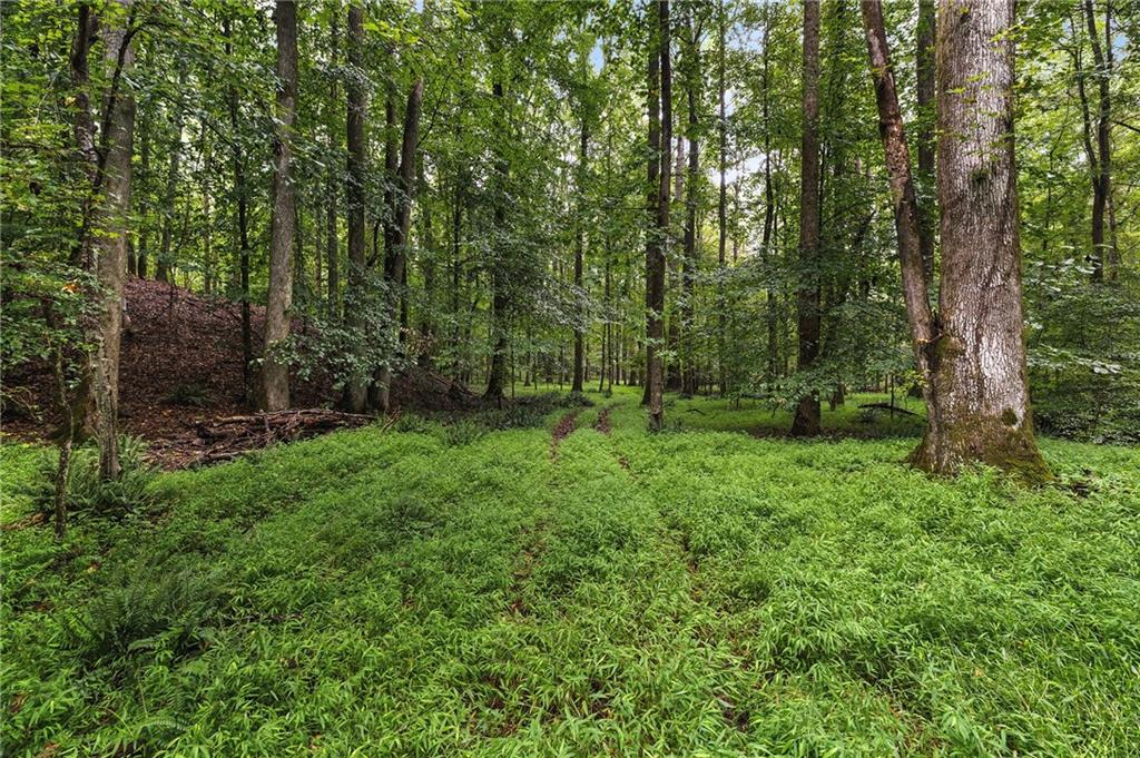 7970 Rico Road Palmetto, GA 30268 - Photo 8 of 26 Gallery Image 8