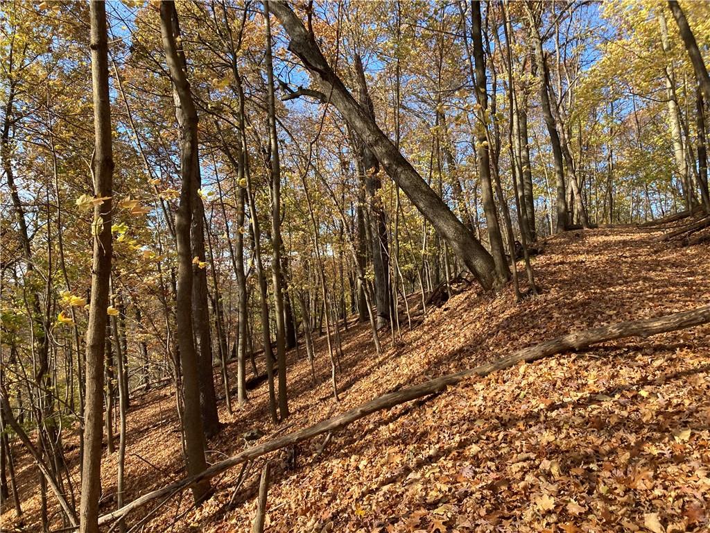 0 Beaver Road Sewickley, PA 15143 - Photo 10 of 23 Gallery Image 10
