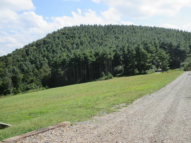 Gallery Image 6