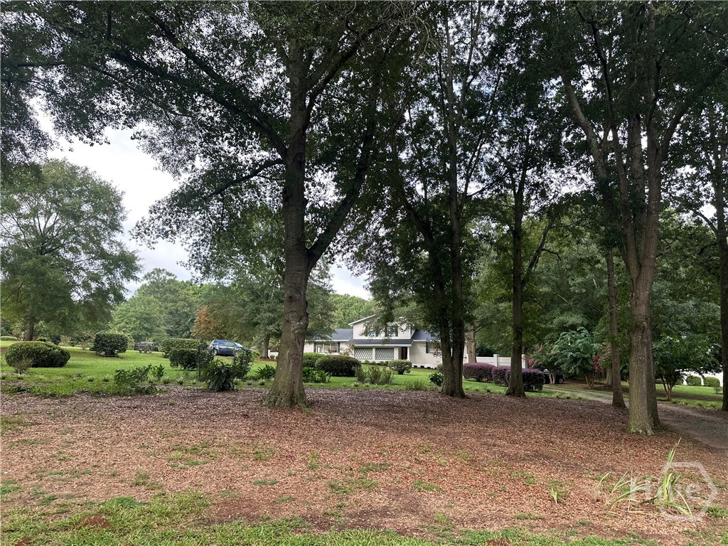 235 Minish Lake Road Commerce, GA 30530 - Photo 29 of 51 View from Street
