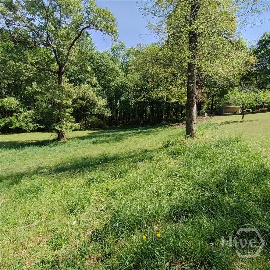 235 Minish Lake Road Commerce, GA 30530 - Photo 38 of 51