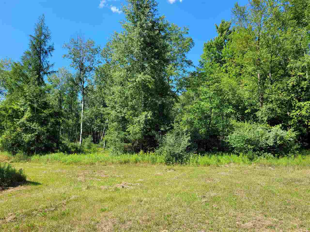 4850 Eagleson Road Gladwin, MI 48624 - Photo 17 of 20