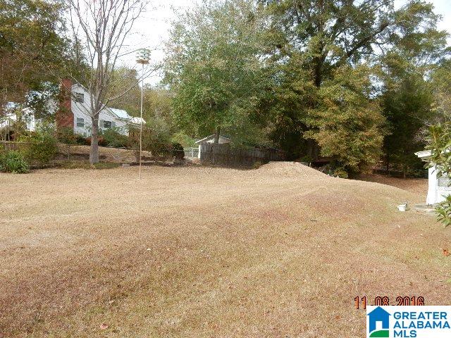 198 Doliska Road Dora, AL 35062 - Photo 14 of 16