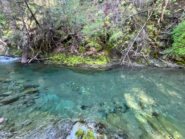 $142,500 | 1500-1551 Reading Creek Road, Douglas City, CA 96024