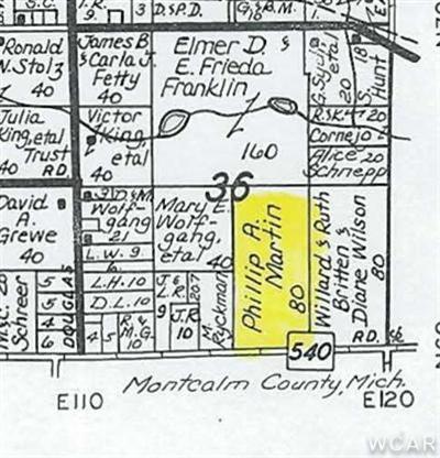Lake Montcalm Road Ionia, MI 48846 - Photo 1 of 1 Primary Photo