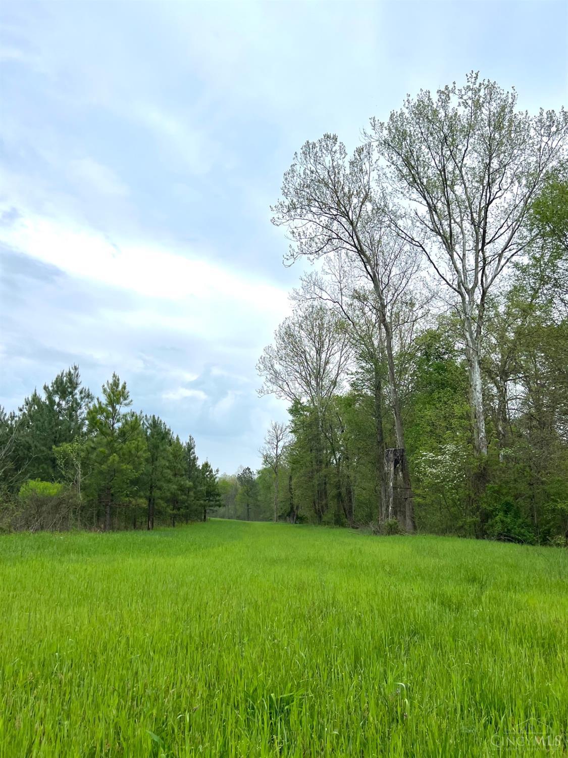 0 Spohn Road Jackson, OH 45640 - Photo 4 of 76