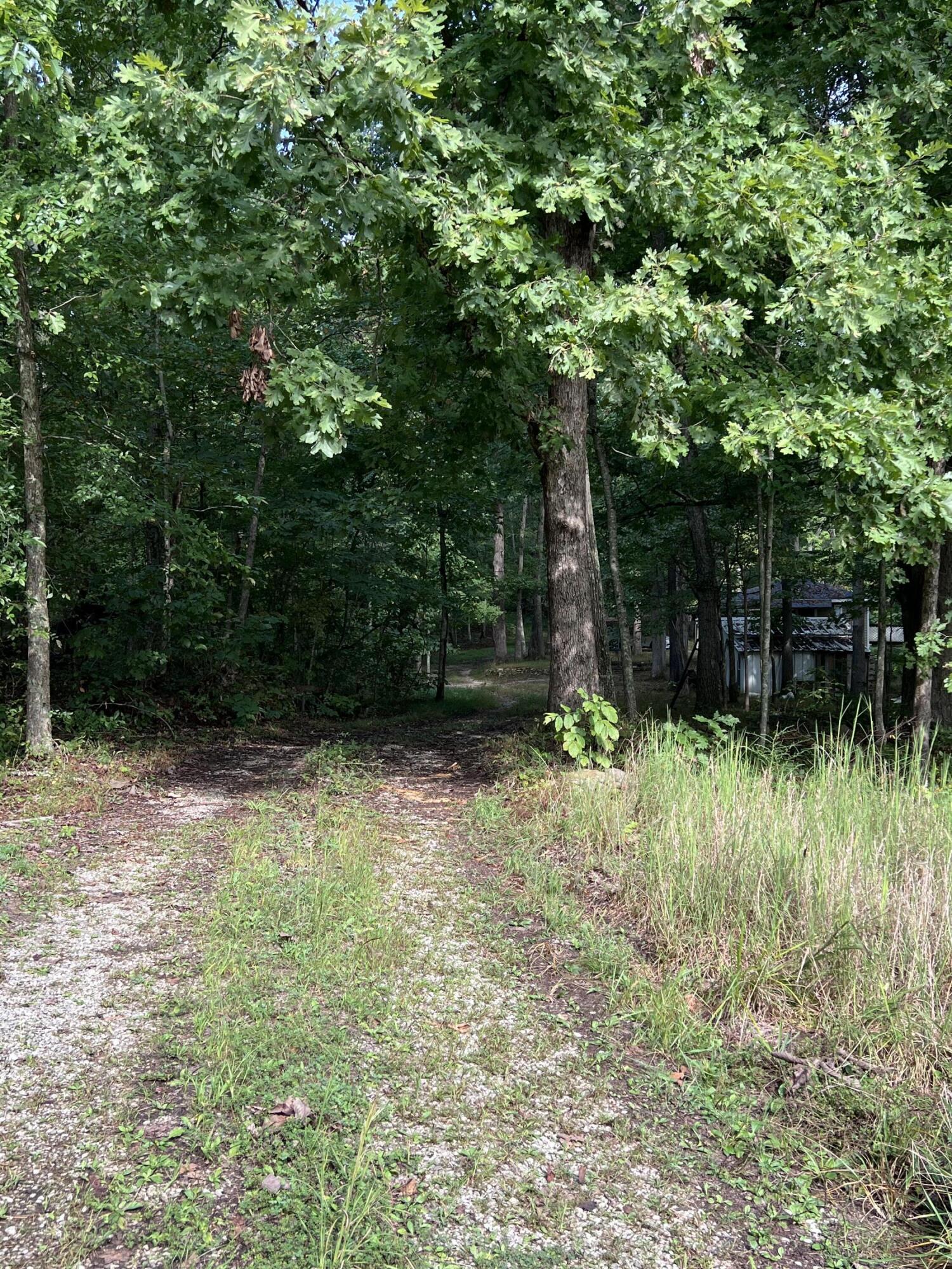 3859 Watson Ridge Road Ravenna, KY 40472 - Photo 14 of 35 IMG_1515