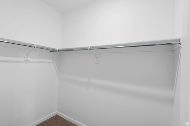 1302 East 1670th North, Unit 908 Payson, UT 84651 - Photo 18 of 21 Walk in closet with carpet floors