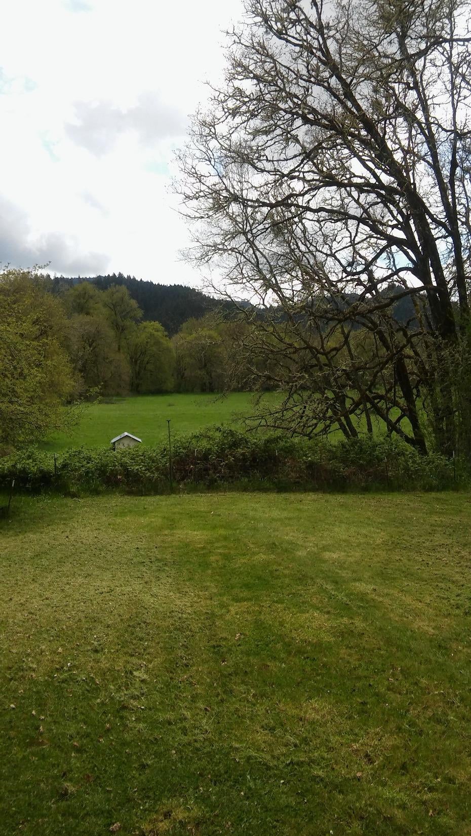 4662 Azalea-Glen Road Glendale, OR 97442 - Photo 2 of 2 stunning views of mountains & pastur