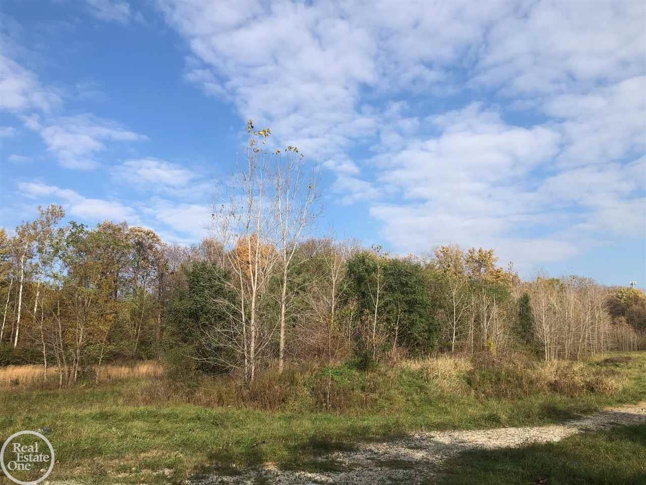 0 Bates New Baltimore, MI 48051 - Photo 2 of 3