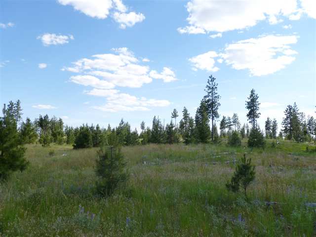 Tbd Tbd Bachelor Prairie Road Creston, WA 99117 - Photo 2 of 8 Gallery Image 2