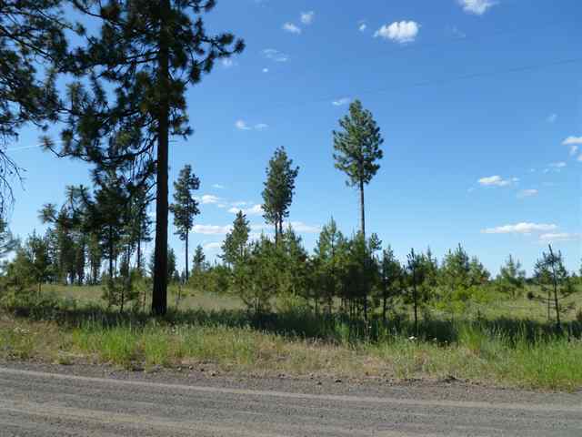 Tbd Tbd Bachelor Prairie Road Creston, WA 99117 - Photo 3 of 8 Gallery Image 3