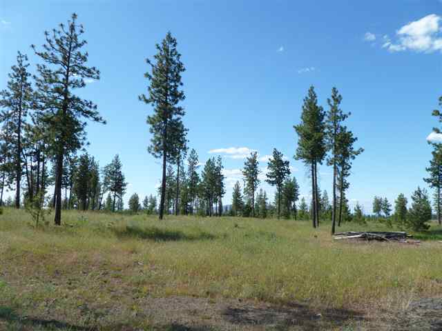 Tbd Tbd Bachelor Prairie Road Creston, WA 99117 - Photo 4 of 8 Gallery Image 4