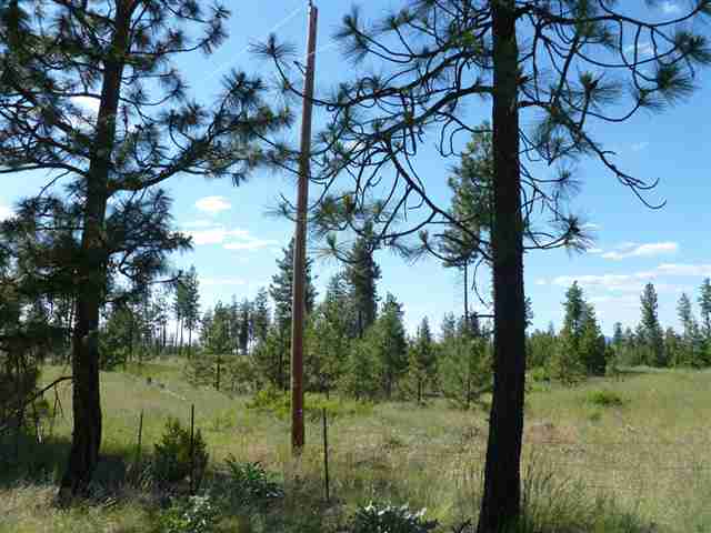 Tbd Tbd Bachelor Prairie Road Creston, WA 99117 - Photo 5 of 8 Gallery Image 5