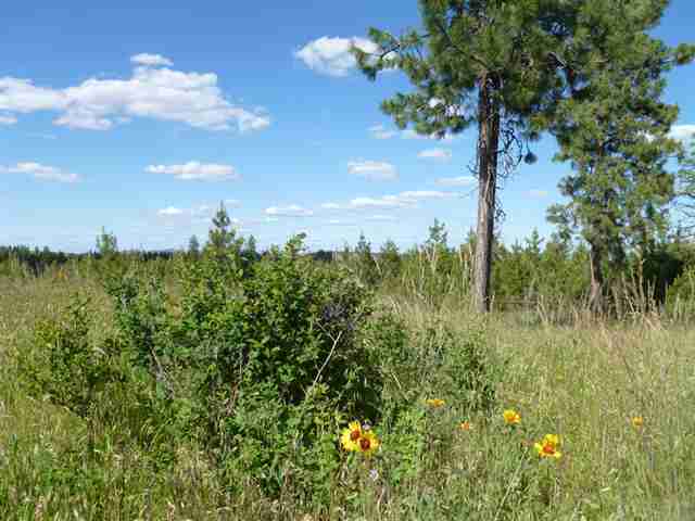 Tbd Tbd Bachelor Prairie Road Creston, WA 99117 - Photo 6 of 8 Gallery Image 6