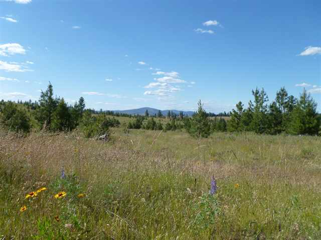 Tbd Tbd Bachelor Prairie Road Creston, WA 99117 - Photo 7 of 8 Gallery Image 7
