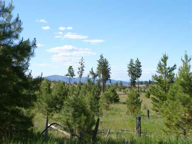 Tbd Tbd Bachelor Prairie Road Creston, WA 99117 - Photo 8 of 8 Gallery Image 8