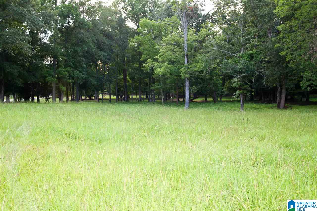 616 Seven Springs Road Wellington, AL 36279 - Photo 9 of 47