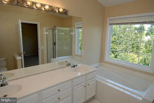 a bathroom with a double vanity sink a mirror and a bathtub
