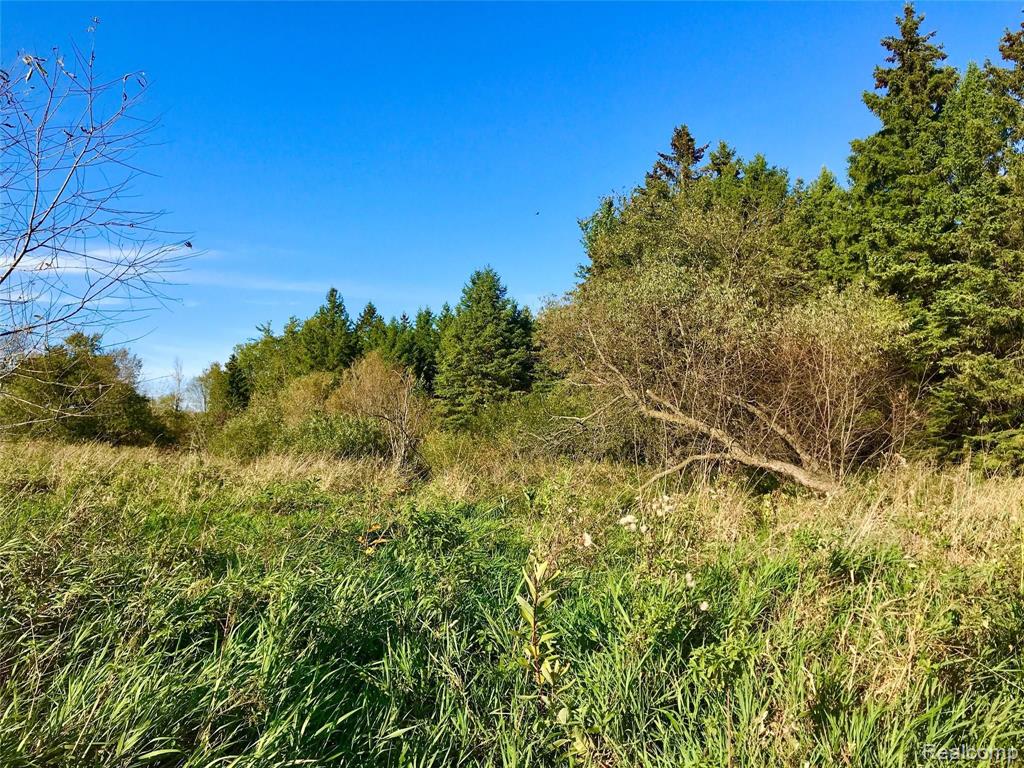V/l Wasson Road Gregory, MI 48137 - Photo 6 of 16 Gallery Image 6
