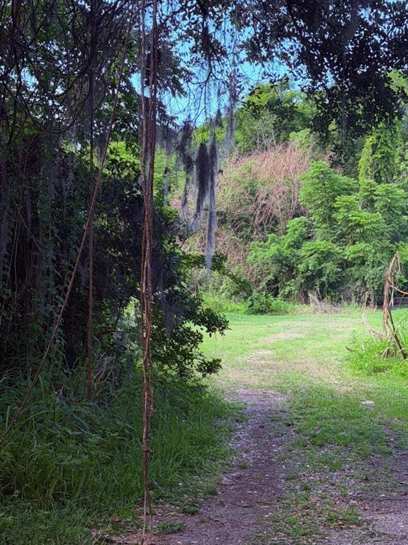 10984 Park Ridge Gotha Road Windermere, FL 34786 - Photo 6 of 6 a backyard of a house with lots of green space