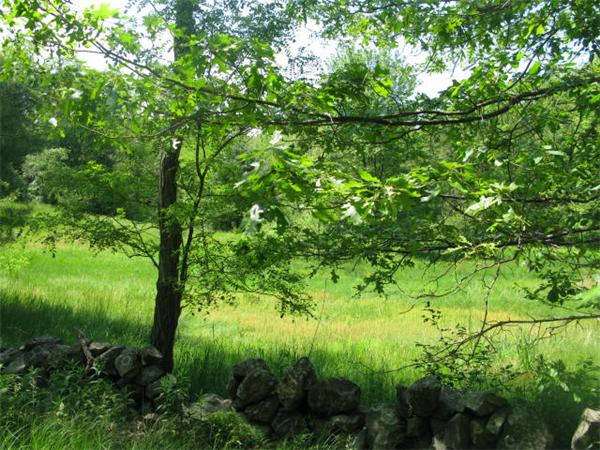 Lot 3 Daniels Road Rowley, MA 01969 - Photo 1 of 1 Gallery Image 1