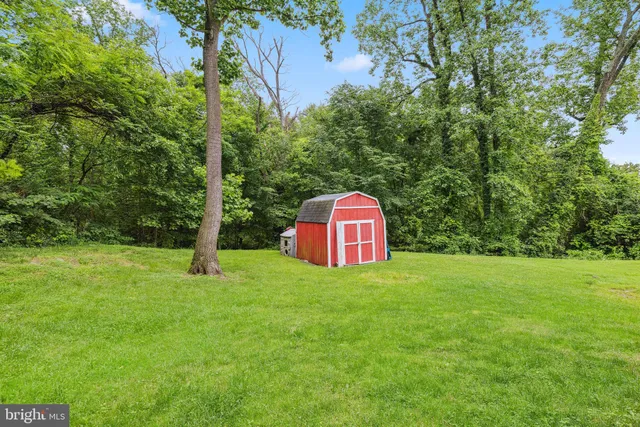 a view of a tree in a yard with a house and trees