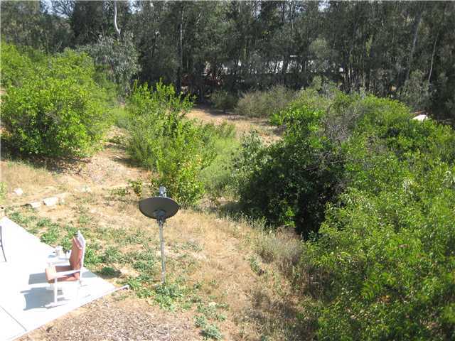 39537 Jones Road Fallbrook, CA 92028 - Photo 22 of 25 Additional Grove Area