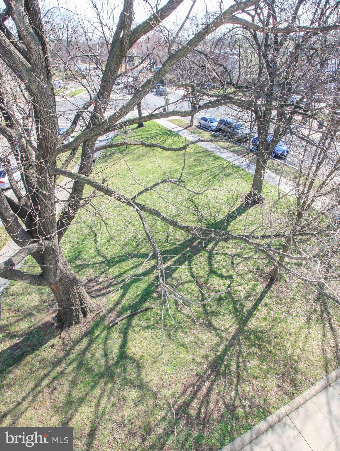 1434 Potomac Avenue Southeast, Unit 5 Washington, DC 20003 - Photo 30 of 38 a backyard of a house with a yard and large tree