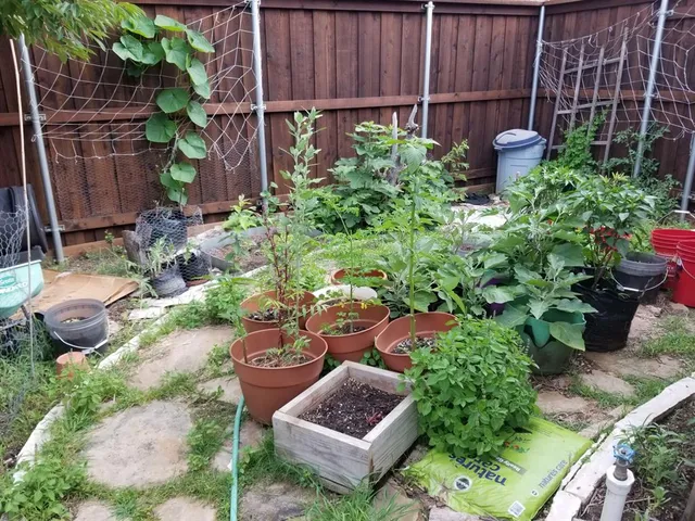 a view of a backyard and chair