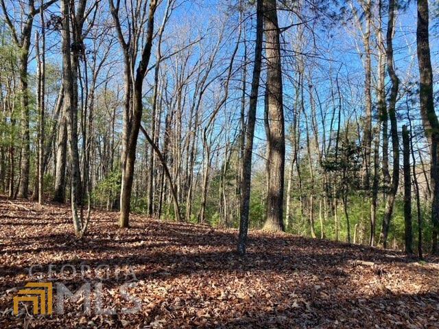 10 Mountain Springs Road Ellijay, GA 30540 - Photo 1 of 1 Gallery Image 1
